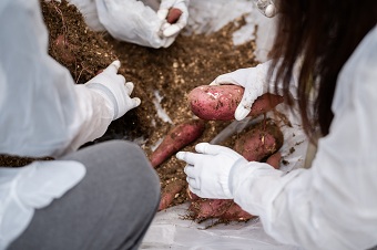 Vh܂tFX2025bVh܂tFXsψlAʎВc@lVhόUl ʐ^S