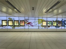 �ɐ��O�V�h�X�@SPRING FLOWER