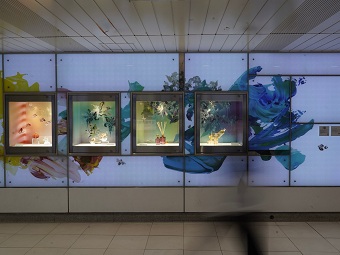 �ɐ��O�V�h�X�@SPRING FLOWER �ʐ^�Q