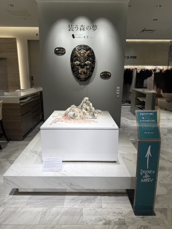 gallery�\���@POP UP �ʐ^�Q