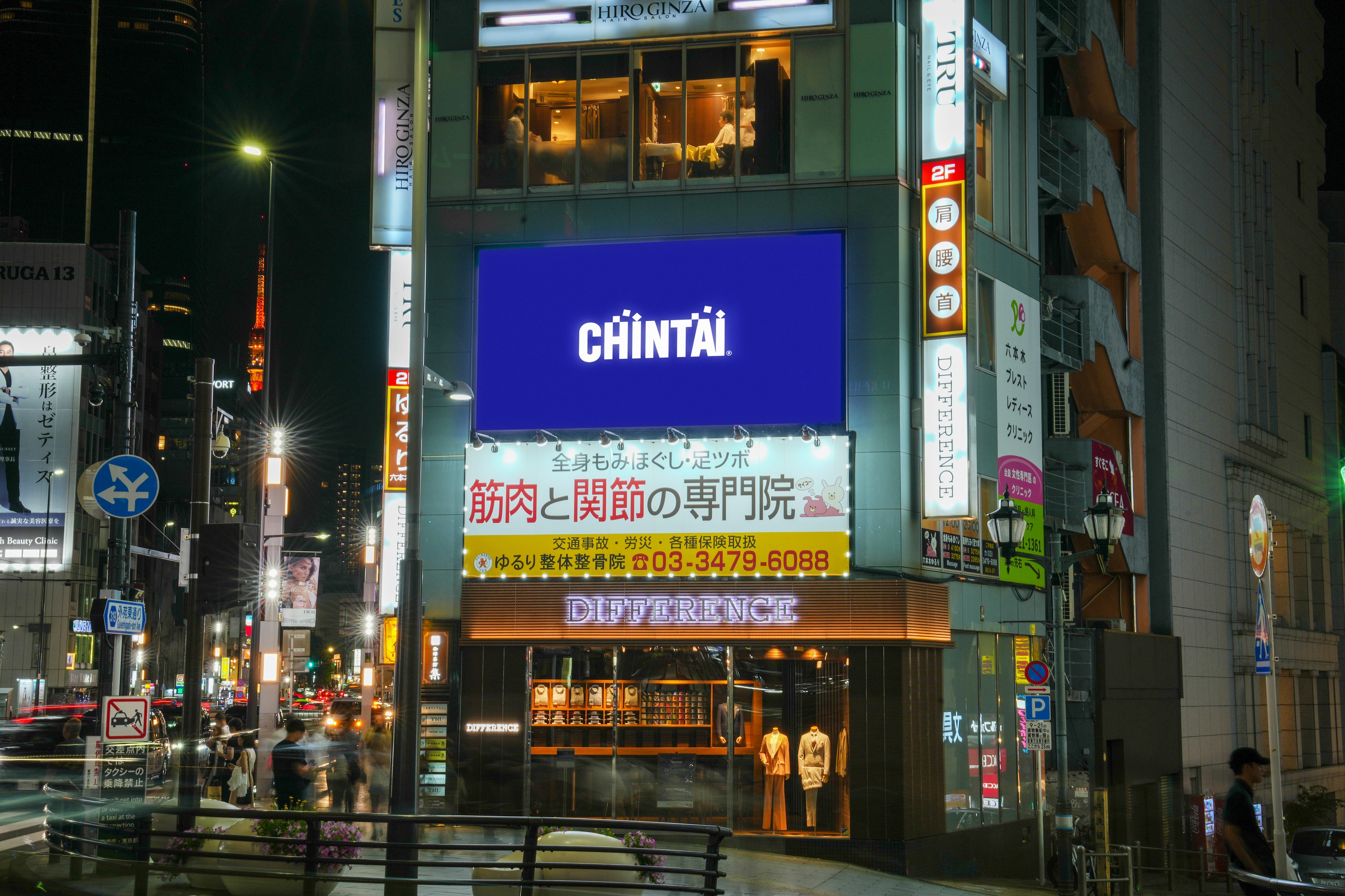 CHINTAI�Z�{�؃r�W����
