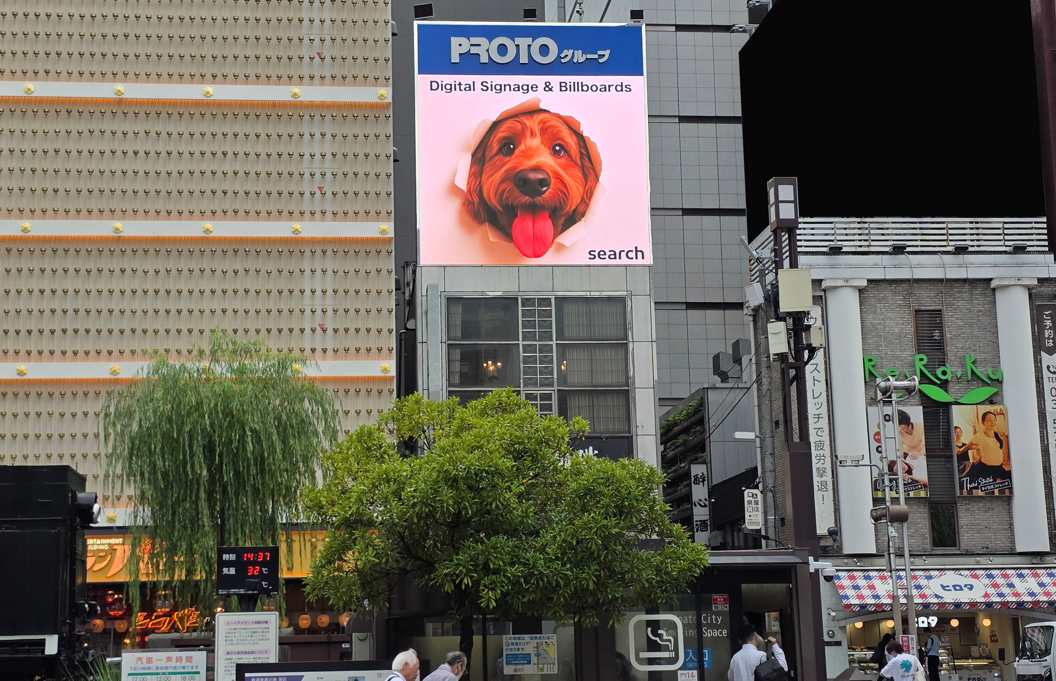 �v���g�O���[�v�V���w�O�r�W����
