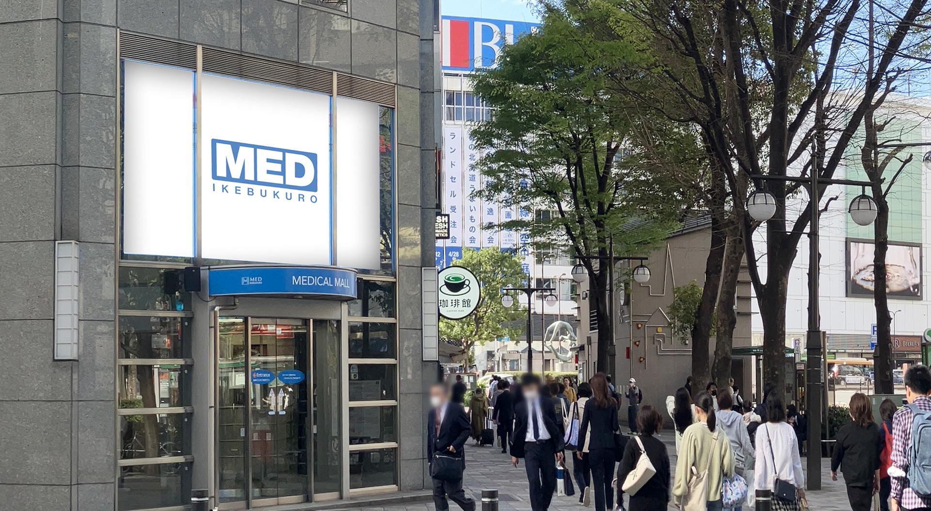 MED�r�W����