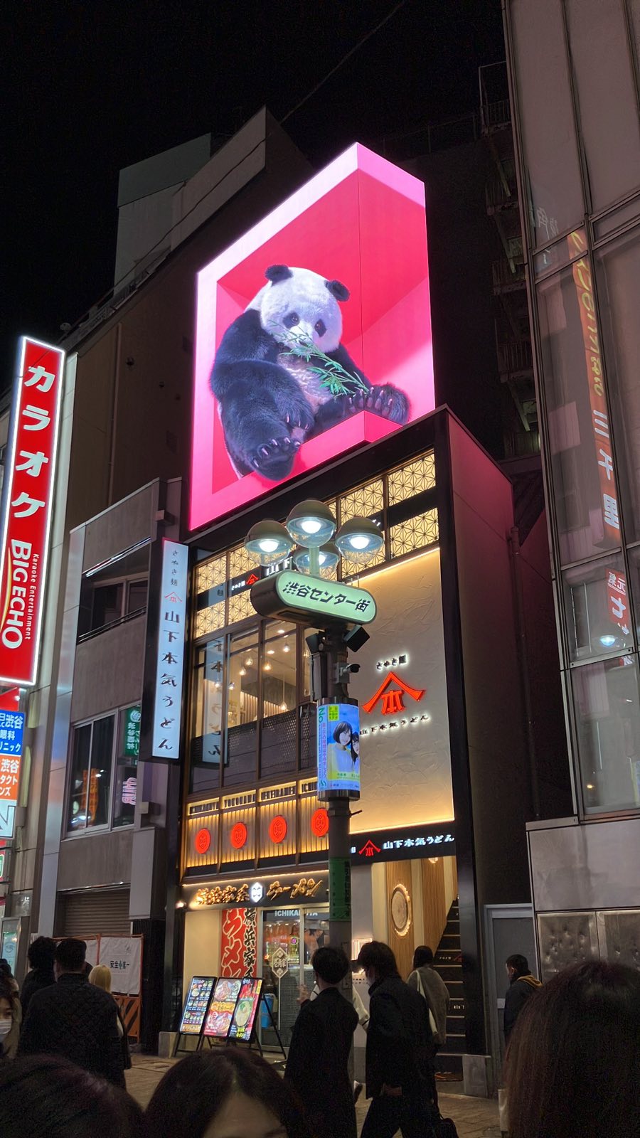 PANDA VISION