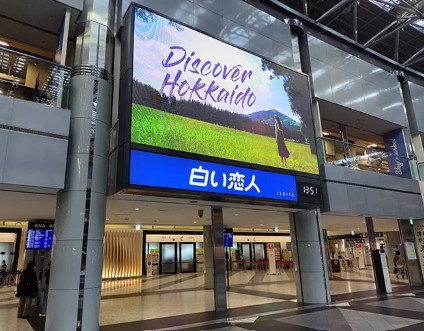 �V��΋�`��^�f���V�X�e��